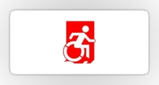 Accessible Means of Egress Icon Exit Sign Wheelchair Wheelie Running Man Symbol by Lee Wilson PWD Disability Emergency Evacuation Sticker 63